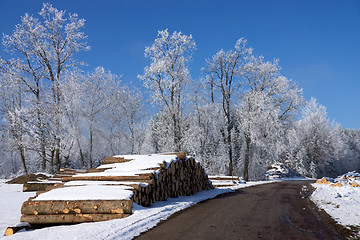 Image showing Round Wood