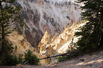 Image showing Yellowstone National Park, USA