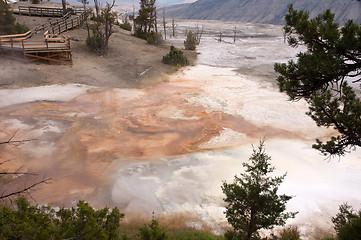 Image showing Yellowstone National Park, USA