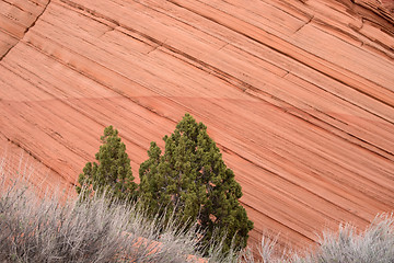 Image showing Coyote Buttes South, Utah, USA