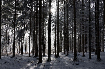 Image showing Ica Age in Muehlberg, Bavaria, Germany