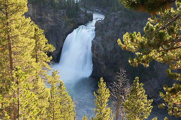 Image showing Yellowstone National Park, USA