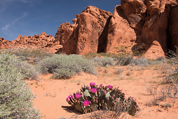 Image showing Valley of Fire, Nevada, USA