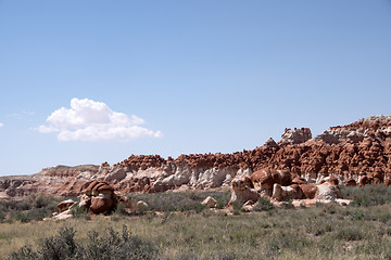 Image showing Blue Canyon, Arizona, USA