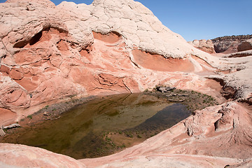 Image showing White Pocket Canyon, Arizona, USA