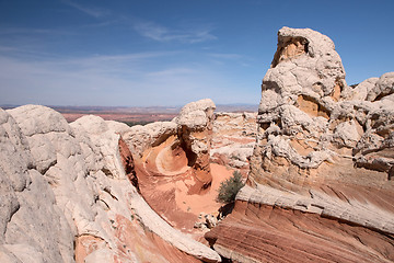 Image showing White Pocket Canyon, Arizona, USA