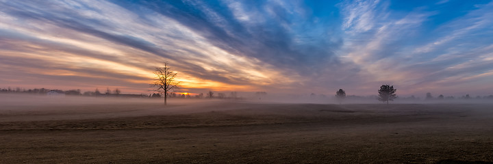 Image showing Morning Fog