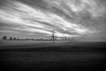 Image showing Morning Fog