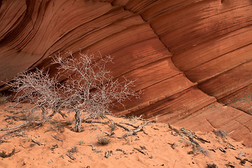 Image showing Coyote Buttes South, Utah, USA