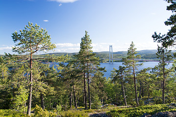 Image showing Hoegakustenbron, Angermanaelven, Sweden