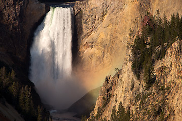 Image showing Yellowstone National Park, USA