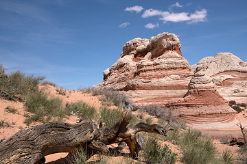 Image showing White Pocket Canyon, Arizona, USA