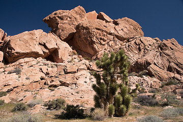 Image showing Whitney Pocket, Nevada, USA