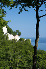 Image showing Mons Klint, Denmark