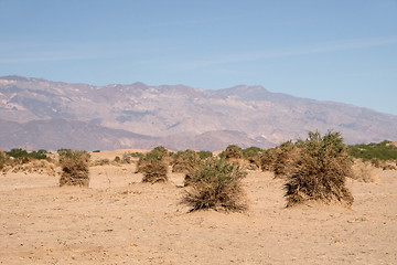 Image showing Titus Canyon, California, USA