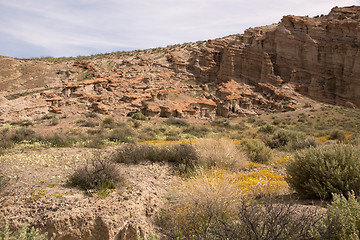 Image showing Antelope Valley Poppy Reserve, California, USA