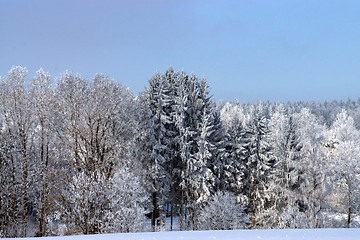 Image showing Ica Age in Muehlberg, Bavaria, Germany