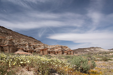 Image showing Antelope Valley Poppy Reserve, California, USA