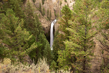 Image showing Yellowstone National Park, USA