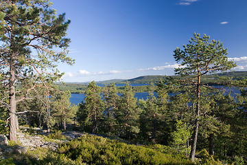 Image showing Angermanaelven, Sweden