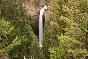 Image showing Yellowstone National Park, USA