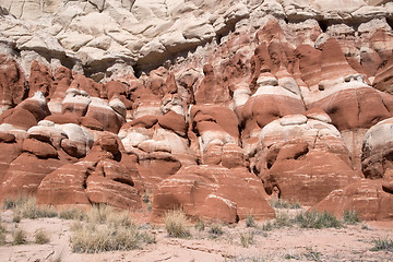 Image showing Blue Canyon, Arizona, USA