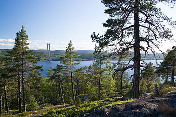 Image showing Hoegakustenbron, Angermanaelven, Sweden