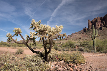 Image showing Lost Dutchman State Park, Arizona, USA