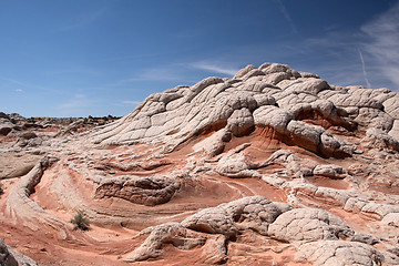 Image showing White Pocket Canyon, Arizona, USA