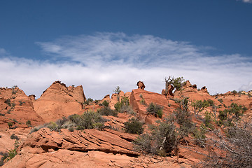 Image showing Edmaiers Secret, Utah, USA