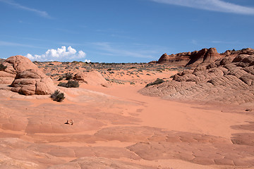 Image showing Edmaiers Secret, Utah, USA