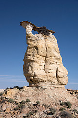 Image showing Yellow Eagle Arch, Arizona, USA