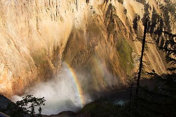 Image showing Yellowstone National Park, USA