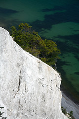 Image showing Mons Klint, Denmark