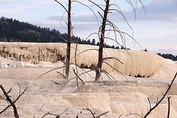 Image showing Yellowstone National Park, USA