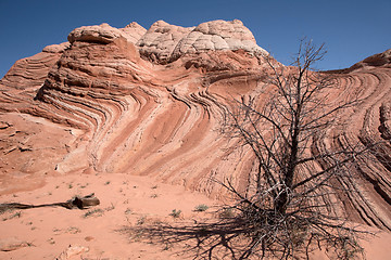 Image showing White Pocket Canyon, Arizona, USA