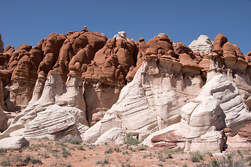 Image showing Blue Canyon, Arizona, USA