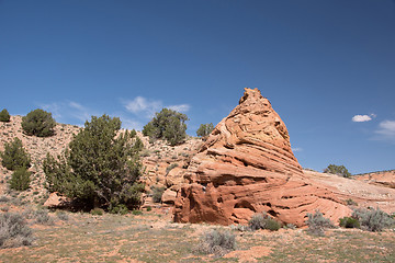 Image showing Edmaiers Secret, Utah, USA