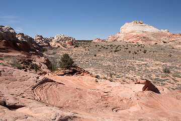 Image showing White Pocket Canyon, Arizona, USA