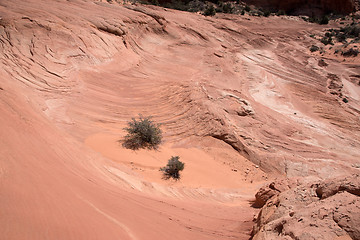 Image showing Edmaiers Secret, Utah, USA