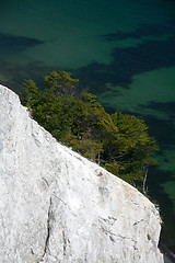 Image showing Mons Klint, Denmark