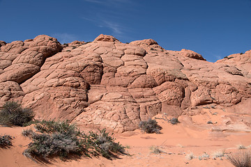 Image showing Edmaiers Secret, Utah, USA