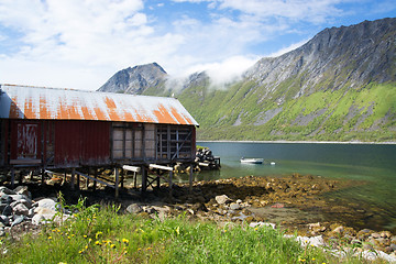 Image showing Gryllefjord, Senja, Norway