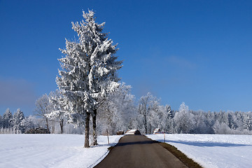 Image showing Ica Age in Muehlberg, Bavaria, Germany