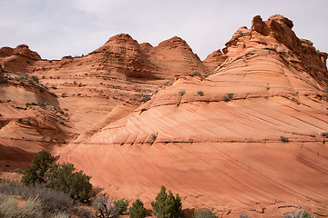 Image showing Coyote Buttes South, Utah, USA