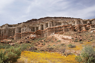 Image showing Antelope Valley Poppy Reserve, California, USA