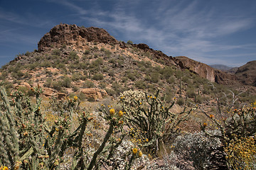 Image showing Theodore Roosevelt Lake, Arizona, USA