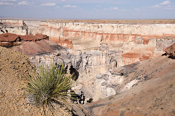 Image showing Coal Mine Canyon, Arizona, USA