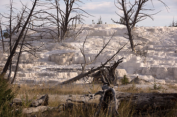 Image showing Yellowstone National Park, USA