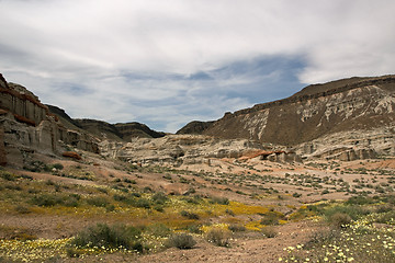 Image showing Antelope Valley Poppy Reserve, California, USA